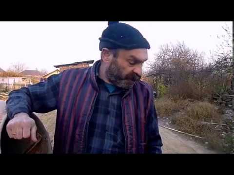 Видео: Чем кормить перепелов. Часть 3. Перепела разведение. От А и до сковородки.