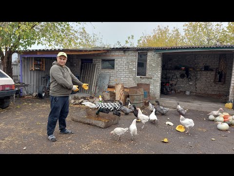 Видео: Ожидал большего. Пересадил малышню.