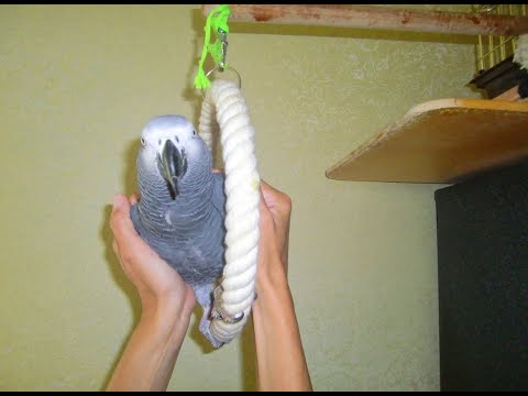 Видео: Встречаем ПервоМай с Говоруном Жаном)! Утренние минифрагментики этого дня)):