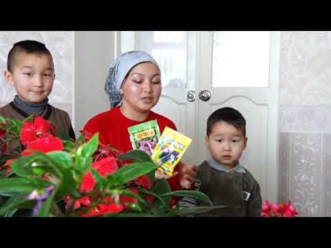 Видео: ГҮЛ СҮЙГӨН АЙЫМ