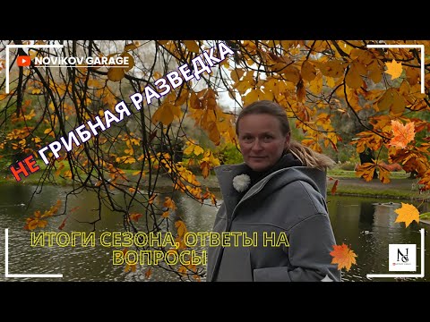 Видео: НЕ Грибная разведка 25 октября 2025. Итоги сезона 2025
