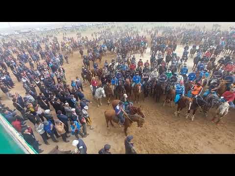 Видео: Арыс Кокпар  Шаихан Хажы