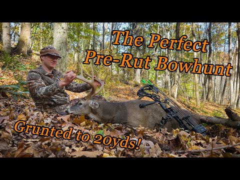 Видео: Подманиваем взрослого оленя на 20 ярдов! Идеальная охота с седлом перед гоном! Охота с луком в Ви...