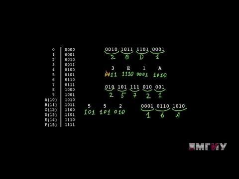 Видео: Информатика. Выпуск 1. Системы счисления.