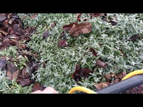 Видео: Металошукач Квазар Ф3 Maksimus + ТОП КОТУШКИ!