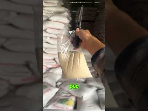 Видео: Рисовая афера 😃😃