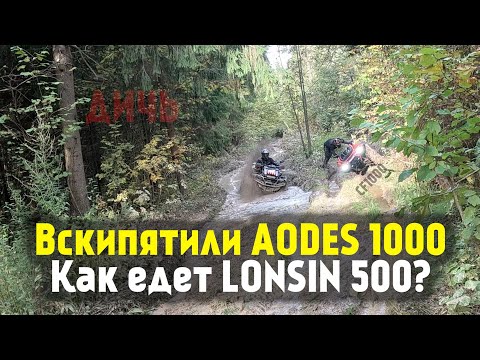 Видео: Наши самые дикие покатушки в лесу