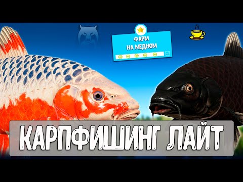 Видео: 🔴 РР4/ рыбалка для души, ловим как универсал, общаемся 07.11.2025