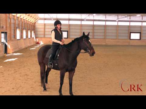 Видео: 🐎Как побудить вашу ленивую лошадь двигаться вперед