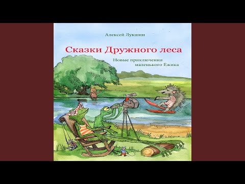 Видео: В гостях хорошо, а дома лучше