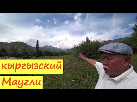 Видео: Кыргызский Маугли. Рождённый в ЮРТЕ.