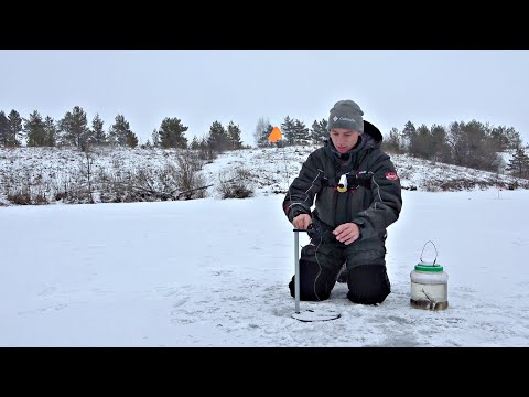 Видео: ЛОВЛЯ ЩУКИ И ОКУНЯ НА ЖЕРЛИЦЫ! Рыбалка на простые снасти! С Новым 2024 Годом!