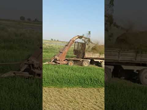 Видео: т40 кир1,5