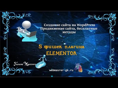 Видео: 5 фишек плагина Elementor для WordPress