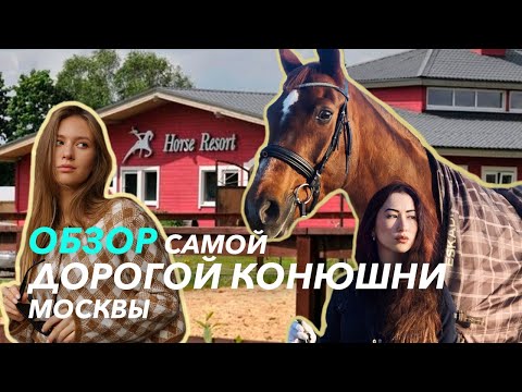 Видео: СУДЬБА СПОРТИВНОЙ ЛОШАДИ 💰СКОЛЬКО СТОИТ КОННАЯ КАРЬЕРА // КСК Отрада// КОНОГОЛИКИ