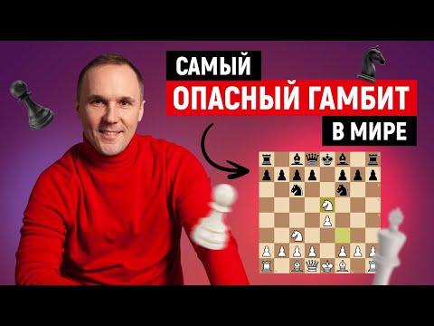 Видео: Ты не слышал об этом гамбите!