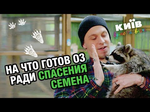 Видео: На что готов Оз ради спасения Семена - Киев днем и ночью