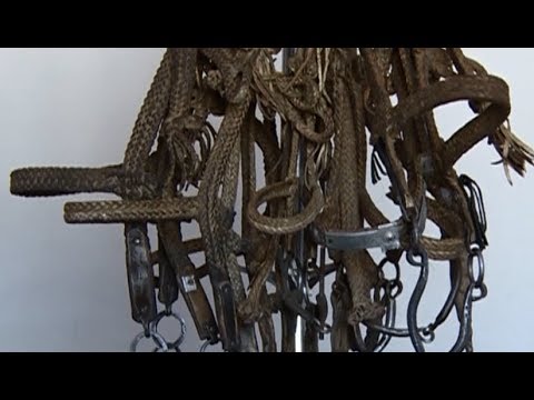 Видео: Қазақтың Өрме торсығы