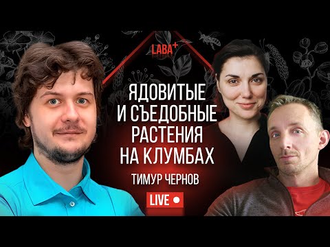 Видео: Ядовитые и съедобные растения на клумбах. Тимур Чернов