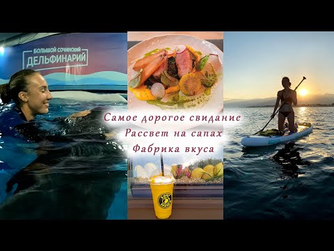 Видео: СОЧИ! Свидание с ДЕЛЬФИНАМИ. На сапах к рассвету. Территория ГАММЫ Сириус. Фабрика вкуса