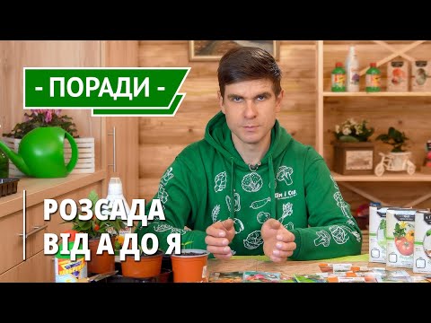 Видео: Правила вирощування розсади. Як отримати здорову і безпроблемну розсаду. Що потрібно розсаді?