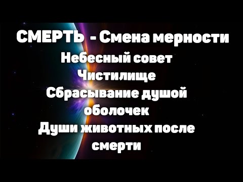 Видео: Смена мерности, небесный совет, чистилище, души животных.