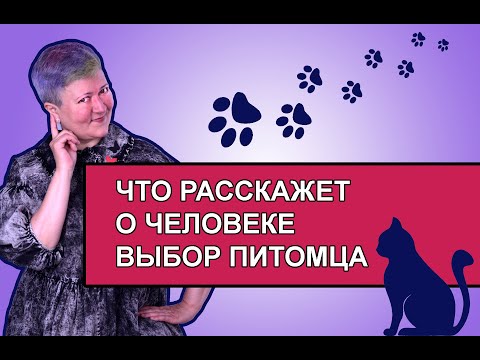 Видео: Что расскажет о человеке выбор питомца