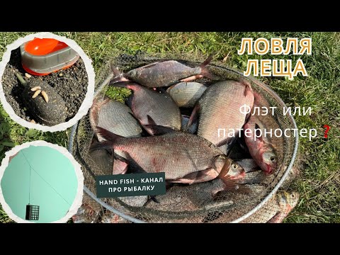 Видео: Лещ на фидер | Какой монтаж лучше 🎣 #рыбалка #рыба #лещ #фидер #ловлялеща #фидернаярыбалка