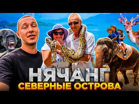 Видео: Нячанг, экскурсия на северные острова: стоит ли туда ехать? / Вьетнам 2023