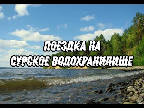 Видео: Сурское водохранилище "море". Ищем место...#подпишись #путешествия #влог