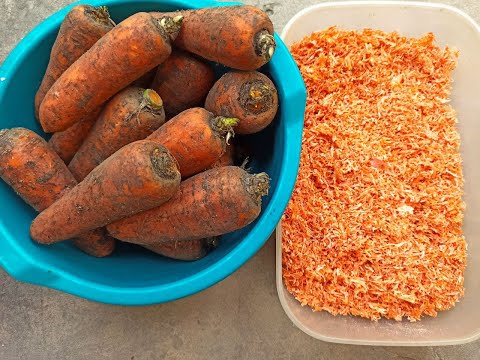 Видео: Сушка морковки и свеклы/буряка. Заготовки на зиму