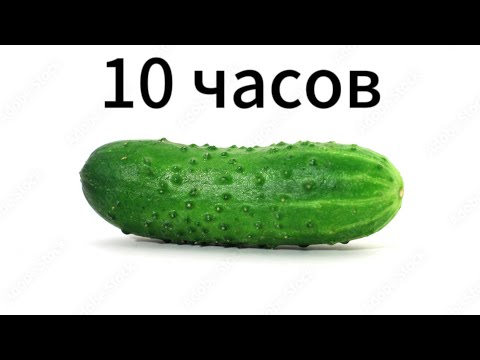 Видео: Огурец 10 часов