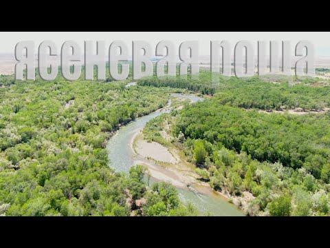 Видео: Ясеневая роща на реке Чарын, в сторону с. Чунджа от Алматы