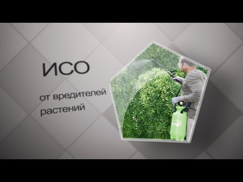 Видео: Известковосерный отвар ИСО - от вредителей растений