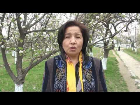 Видео: молдо жалил ыр кесе 3-болум