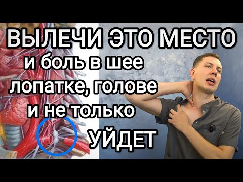 Видео: Болит шея, лопатка, голова и не только!? Срочно вылечи это место! 90% проблем оттуда