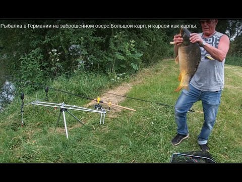 Видео: Рыбалка в Германии на заброшенном озере.Большои карп, и караси как карпы.