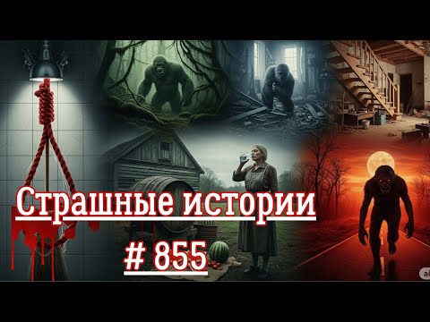 Видео: СТРАШНЫЕ ИСТОРИИ/ ЧАСТЬ 855/МИСТИКА/СТРАШНЫЕ ИСТОРИИ