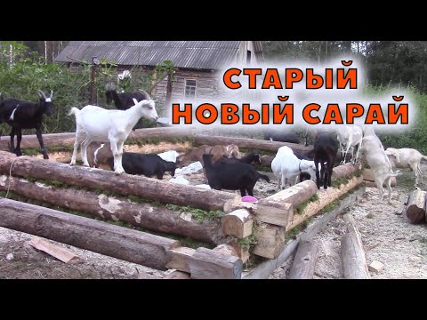 Видео: Хроника сарая. Часть 1