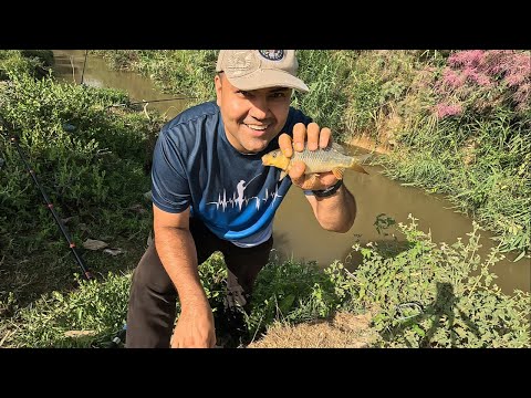 Видео: Как поймать сазана в Ташкенте