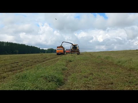 Видео: Заготовка сенажа