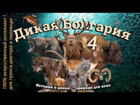 Видео: 🦔🌈❄️Дикая Болгария 4:🐺 Бесконечная история 🌌🤖 (100% ИИ. для голоса диктора и перевода) 🌨️ - WB 04