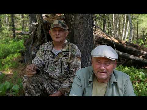 Видео: Таёжники Красного Чикоя