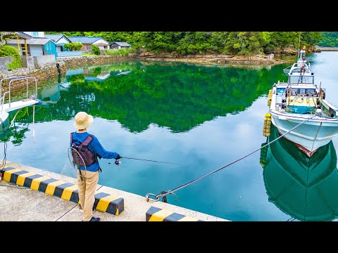 Видео: На дамбе легко поймать дорогие ингредиенты, я не могу перестать так рыбачить