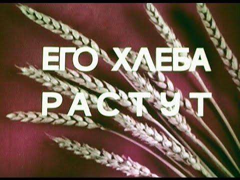 Видео: Его Хлеба растут (П.П. Лукьяненко), Ростовская киностудия,1973г.