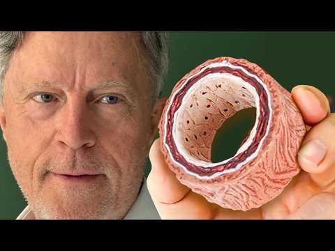 Видео: №1 Лучший способ очистить артерии