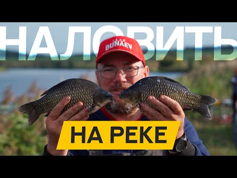 Видео: Как наловить КАРАСЯ на РЕКЕ! Мой РЕЦЕПТ