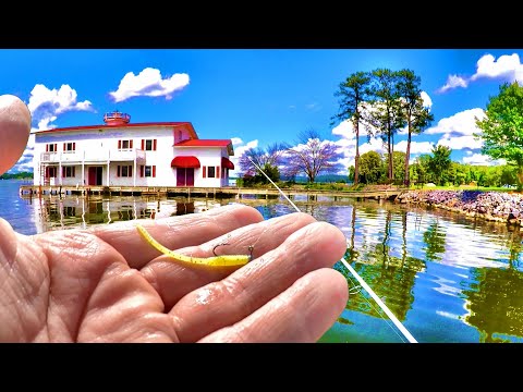 Видео: Простой способ найти и поймать множество синежаберных щук с помощью джиг-приманки