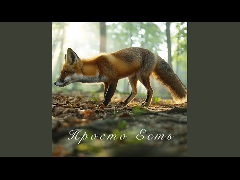 Видео: Просто Есть