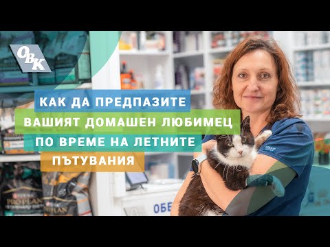 Видео: Как да предпазим възрастния си любимец при пътуване през лятото?